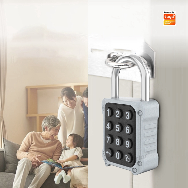 Tuya Bluetooth APP Remote Elec - Lockbox Key Secure ulasan dan harga
