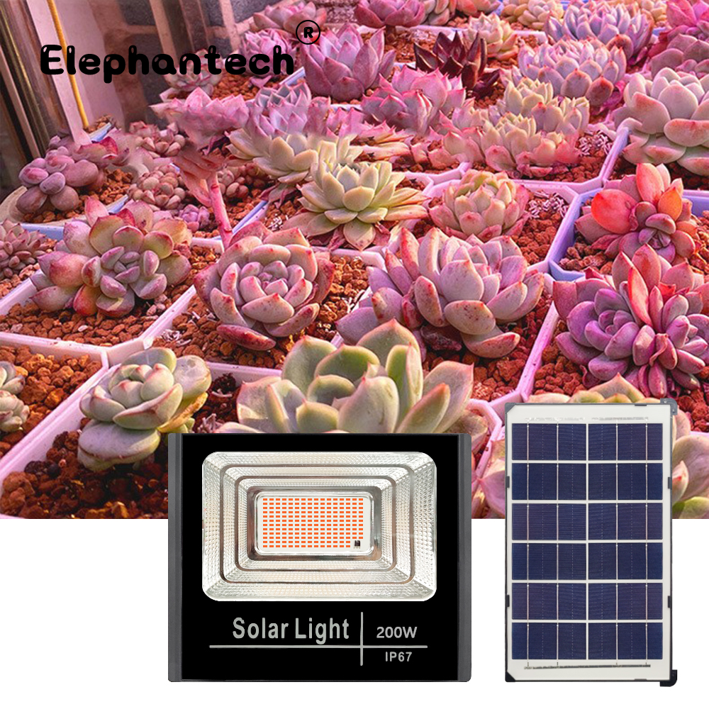 LED Spektrum Penuh Lampu Phyto - Power Outage Light ulasan dan harga