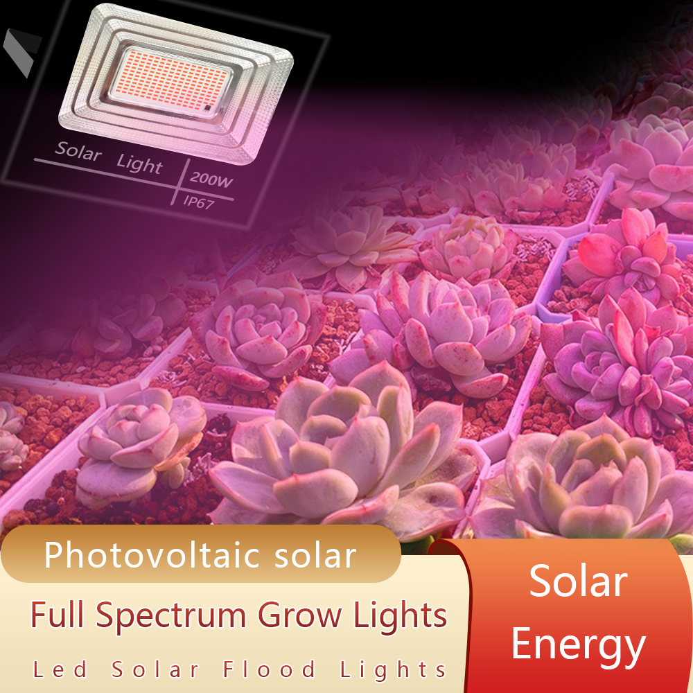 LED Spektrum Penuh Lampu Phyto - Power Outage Light ulasan dan harga