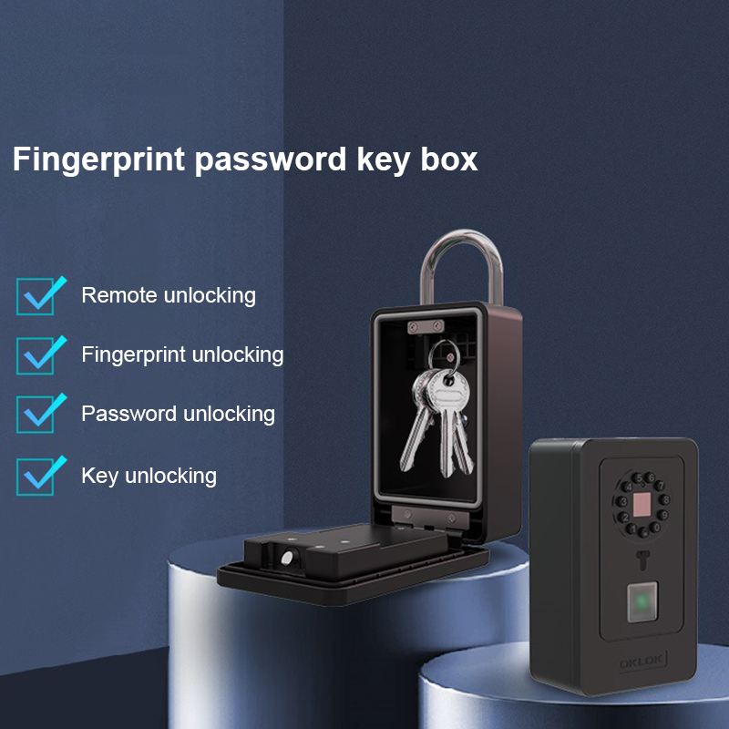 Kotak Penyimpanan Kata Sandi D - Lockbox Key Secure ulasan dan harga
